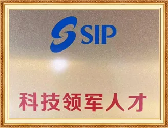 Leading Intelligent Equipment Enterprise in SIP